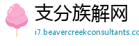 支分族解网